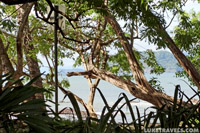 Playa Conchal, Costa Rica | LukeTravels.com